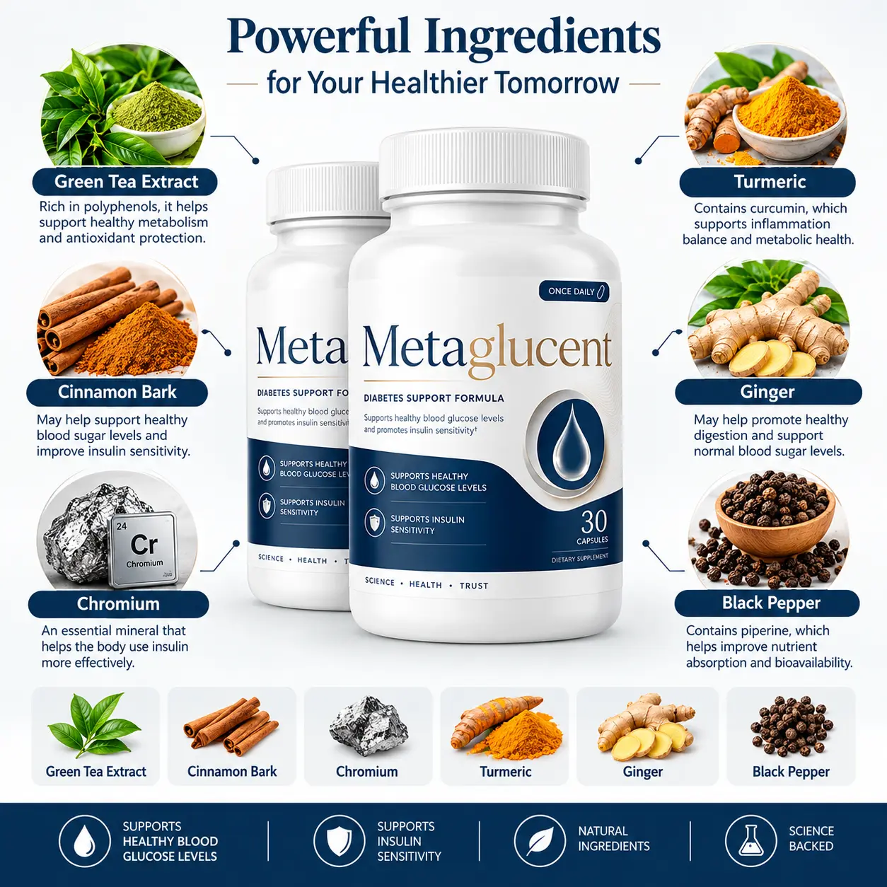MetaGlucent Daily Glucose and Metabolic Wellness Supplement